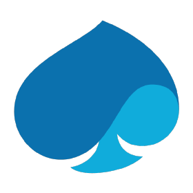 Capgemini1